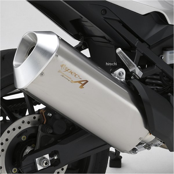 スリップオンマフラー TYPE-SA JMCA認証 22年- HAWK11