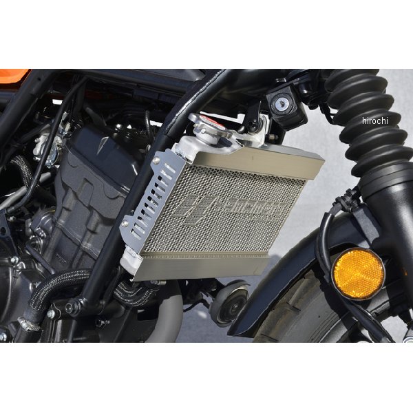 00022-17  CL250 ラジエターコアガード