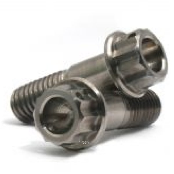 リペア ブリッジボルトSET チタン (フロントキャリパー2ピストン/リアキャリパー 共通)