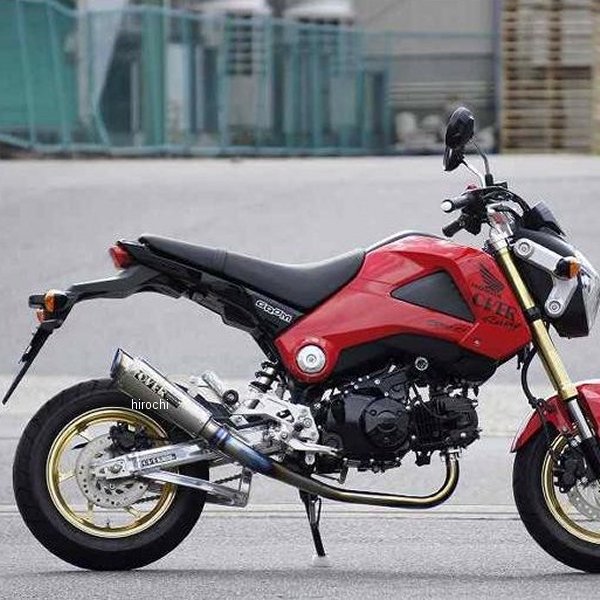 フルエキゾースト GPパフォーマンス ダウンタイプ RS-R 13年-15年 GROM チタン