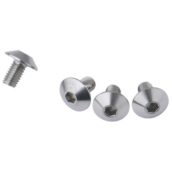 テーパーキャップボルト M6x10mm ステンレス 4個入り