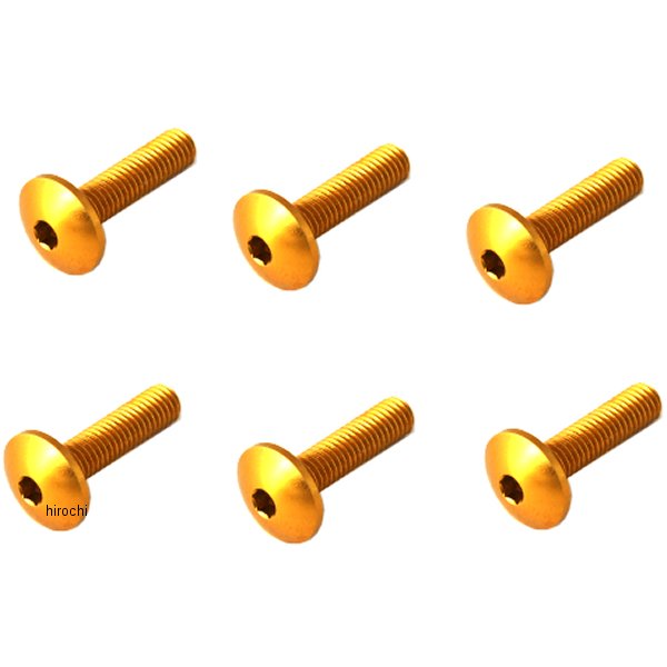 スクリーンボルト 03年-04年 ZX-6R ゴールド