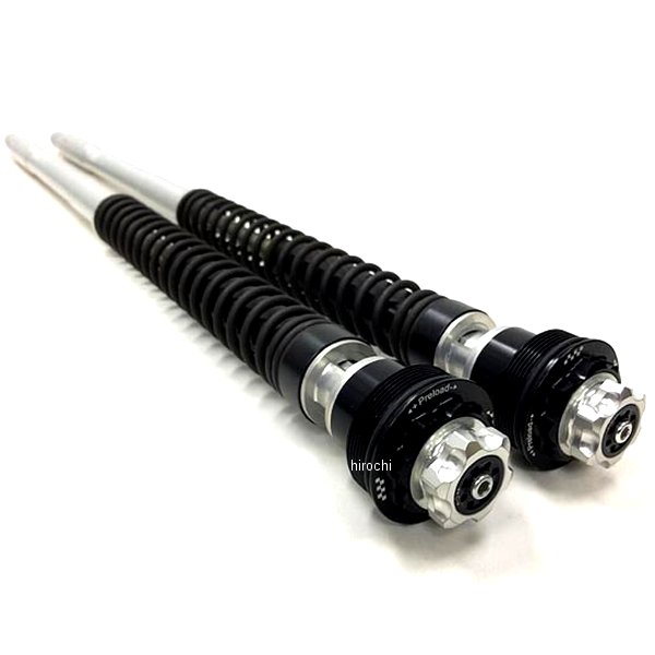 カートリッジキット F20K 06年-10年 アプリリア TUONO1000R