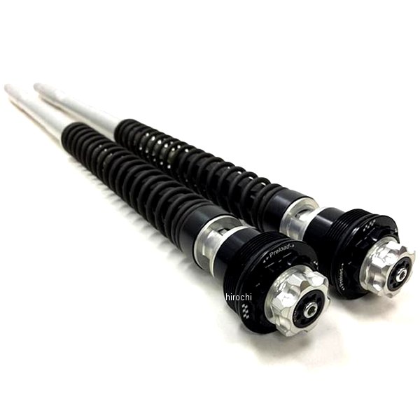 カートリッジキット F20K 08年-14年 ドゥカティ MONSTER1100