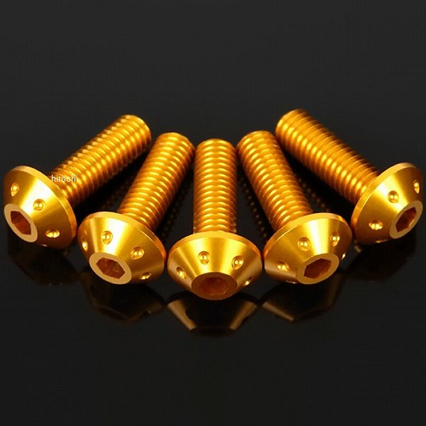 スクリーンボルト 6本 ゴールド
