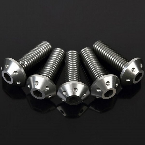 スクリーンボルト ウェルナット 6個セット チタン