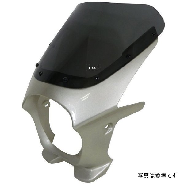 汎用ビキニカウルR ニューシルバーダスト/スモーク