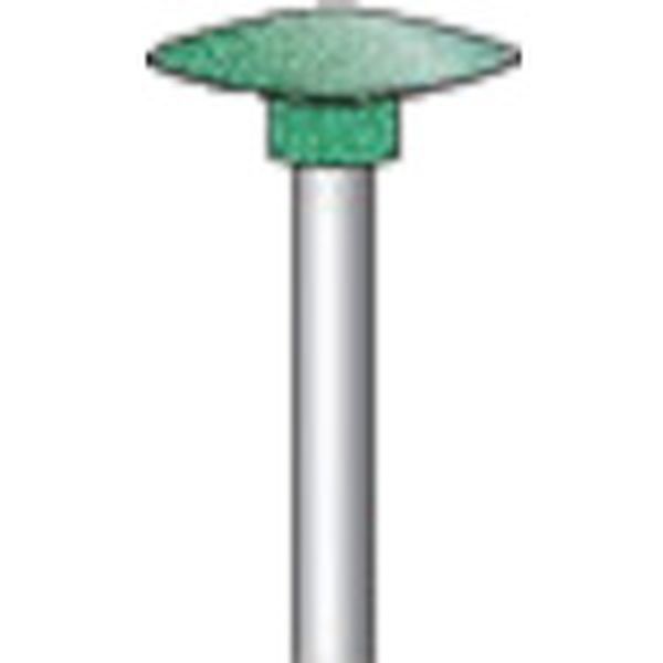 グリーンポリッシャーWA砥粒 (10本入)