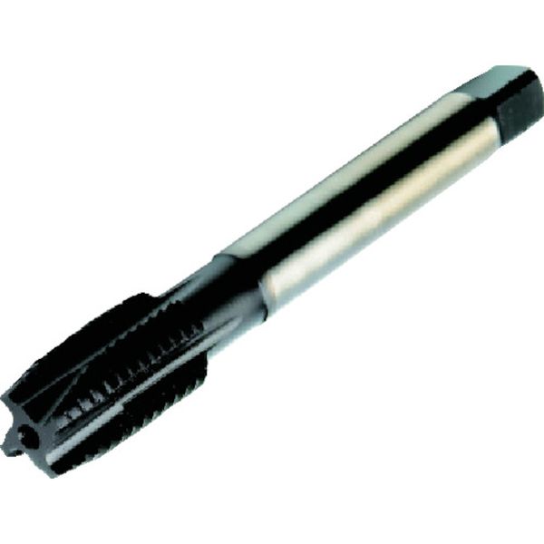 T200MM100JAM3 461-9662 コロタップ200 ポイントタップ(780) B145