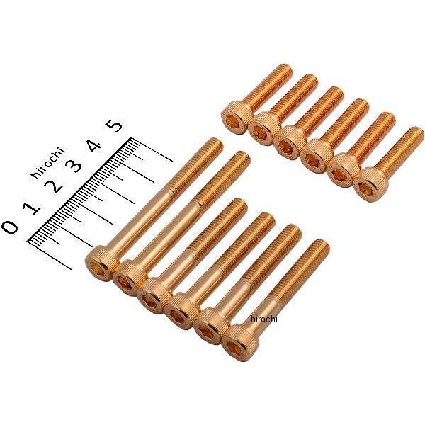 24Kメッキ ステンレスクラッチカバーネジセット カワサキ ゴールド