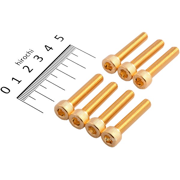 24Kメッキ ステンレスパルサーカバーネジセット 83年-01年GPZ900R M6x30 7個入り