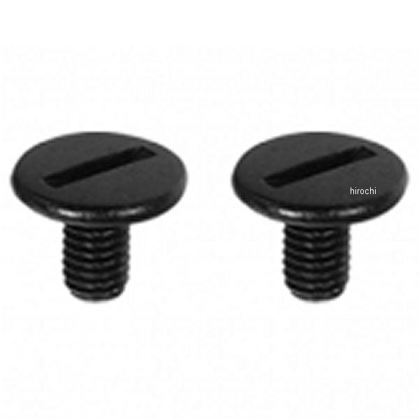 シールドビス RX-100R用