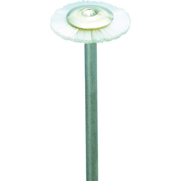 ナイロンブラシ  (10本入)