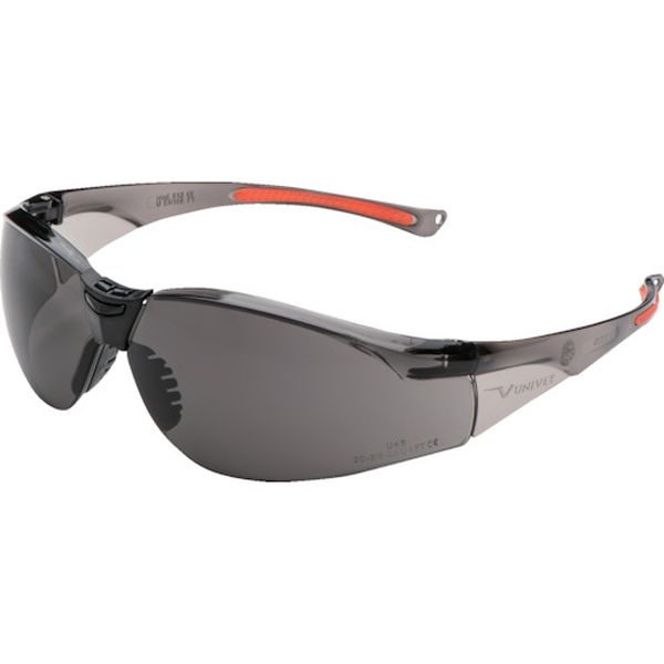 513.03.10.02 380-0799  二眼型保護メガネ 513 スモークレンズ