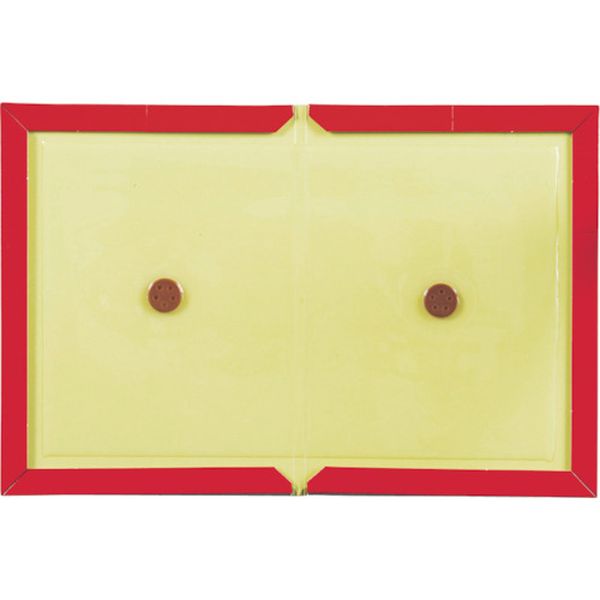 ネズミホイホイ チューバイチュー (折り目付き)