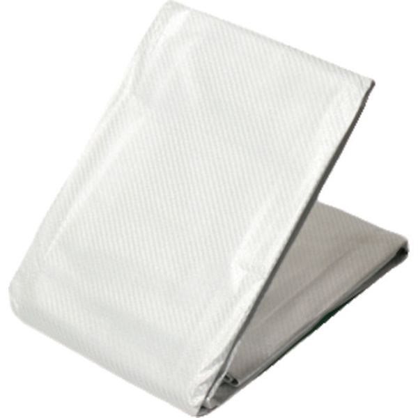 167-0186  ターピー 5年シート 3.6mX5.4m ホワイト/シルバー