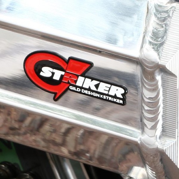 Gストライカーエンブレム スイングアーム バフ用