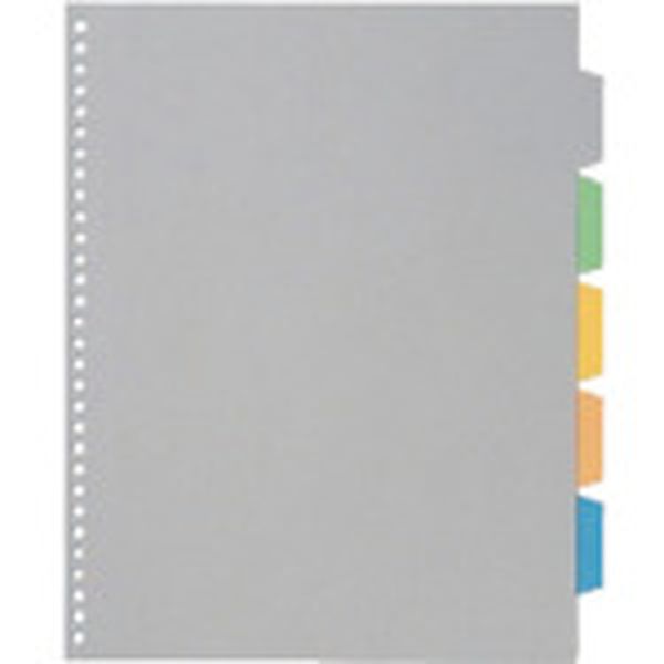 130-3874  カラ-インデックスA4S(30穴)