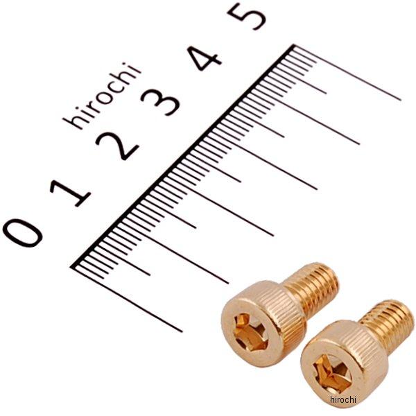 ステンレスキャップボルト 24Kメッキ M6x10 2個入り