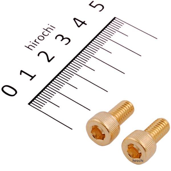 ステンレスキャップボルト 24Kメッキ M6x12 2個入り