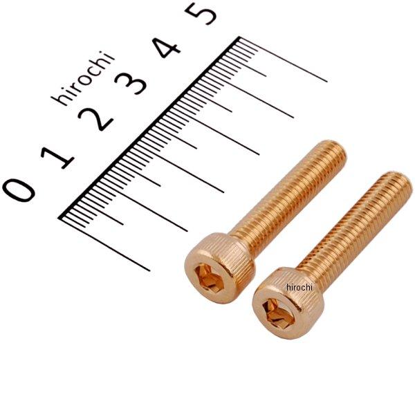 ステンレスキャップボルト 24Kメッキ M6x30 2個入り