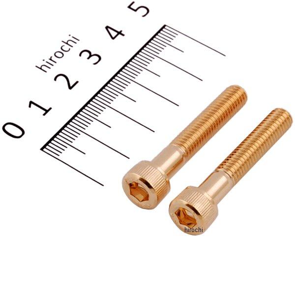 ステンレスキャップボルト 24Kメッキ M6x35 2個入り