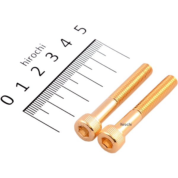 ステンレスキャップボルト 24Kメッキ M6x40 2個入り