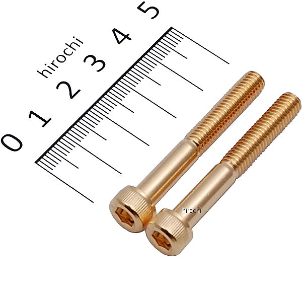 ステンレスキャップボルト 24Kメッキ M6x45 2個入り