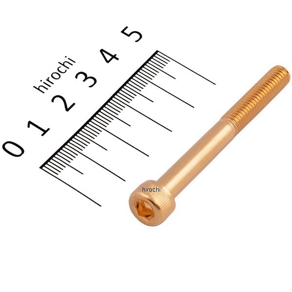 ステンレスキャップボルト 24Kメッキ M6x55 1個入り