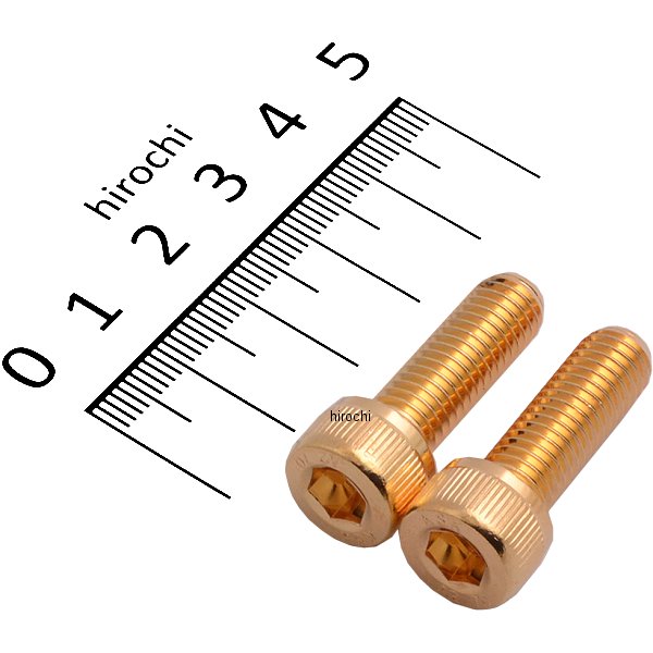 ステンレスキャップボルト 24Kメッキ M8X25 2本入り