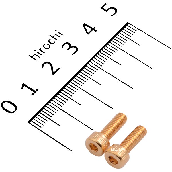 ステンレスキャップボルト 24Kメッキ M4X12 2本入り