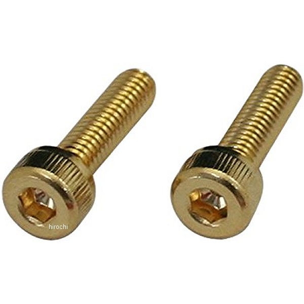 ステンレスキャップボルト 24Kメッキ M4X15 2本入り