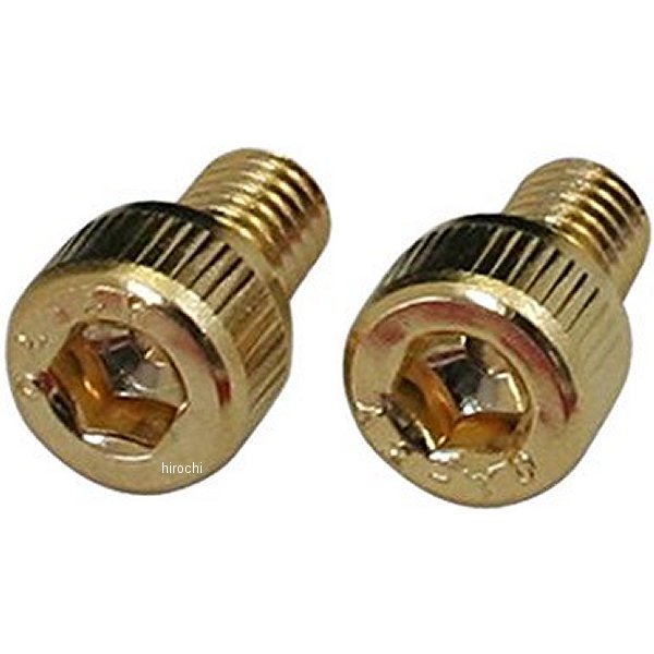 ステンレスキャップボルト 24Kメッキ M5X8 2本入り