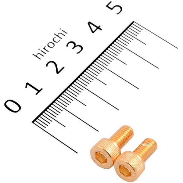 ステンレスキャップボルト 24Kメッキ M5X10 2本入り