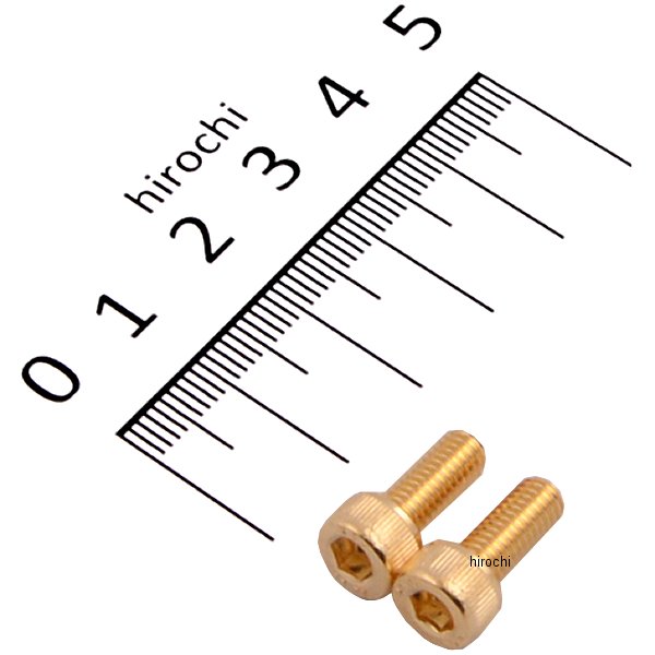 ステンレスキャップボルト 24Kメッキ M5X12 2本入り