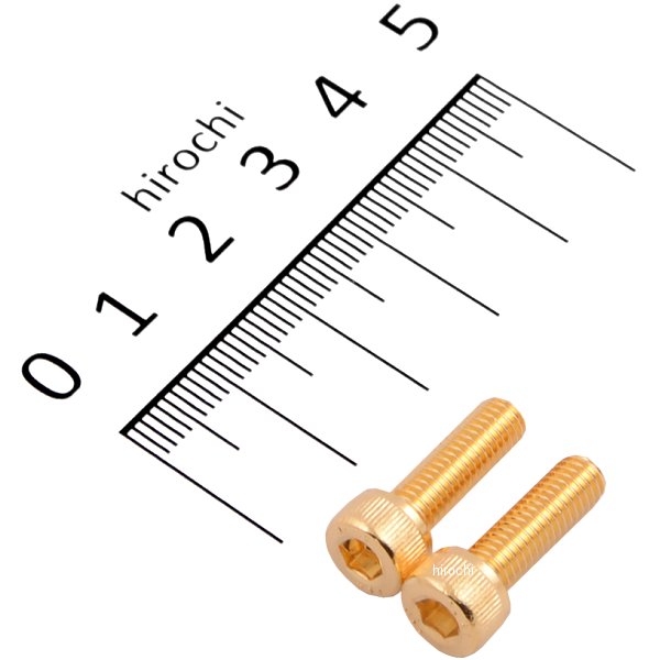 ステンレスキャップボルト 24Kメッキ M5X16 2本入り