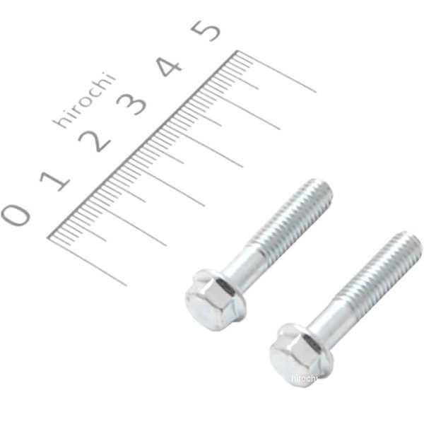 ホンダ純正タイプ フランジ六角ボルト ユニクロ M6x28 P1.0 2本入り