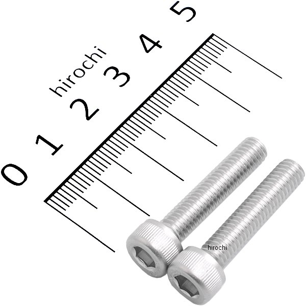 STDステンレスキャップボルト M6X28 P1.0 2個入り