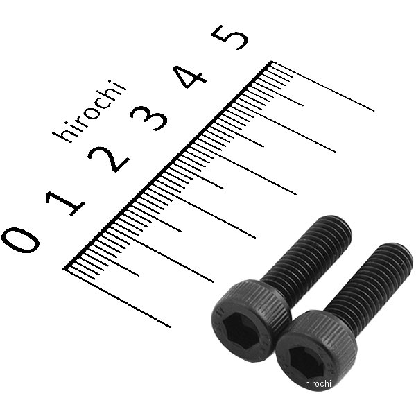 ステンレスキャップボルト STDタイプ M6x20 P1.0 2個入り 黒