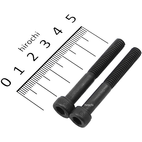 ステンレスキャップボルト STDタイプ M6x45 P1.0 2個入り 黒