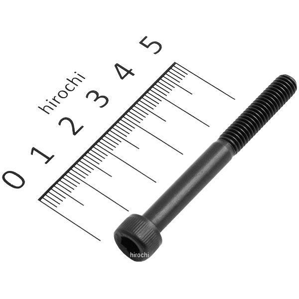 ステンレスキャップボルト STDタイプ M6x55 P1.0 1個入り 黒