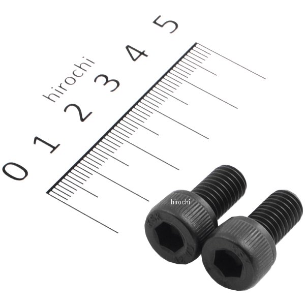 ステンレスキャップボルト STDタイプ M8x15 P1.25 2個入り 黒