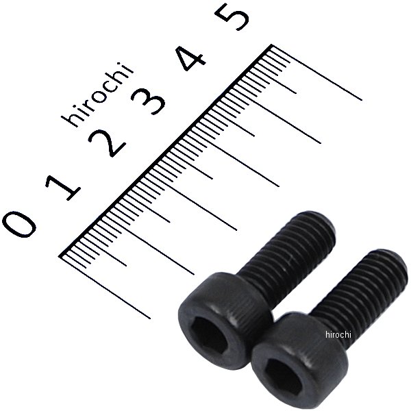 ステンレスキャップボルト STDタイプ M8x20 P1.25 2個入り 黒