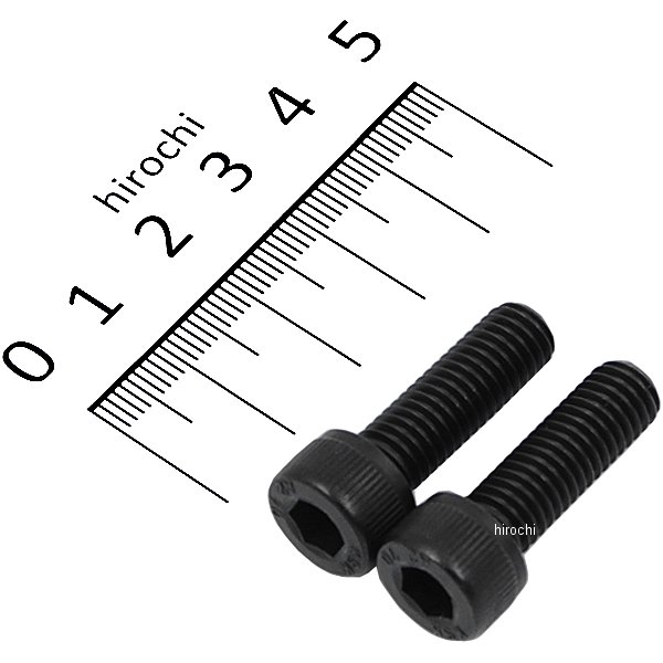 ステンレスキャップボルト STDタイプ M8x25 P1.25 2個入り 黒