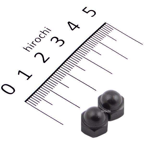 ステンレス袋ナット M6 P1.0 スタンダードタイプ 2個入り 黒