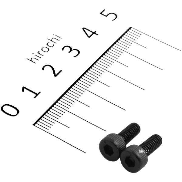 ステンレスキャップボルト STDタイプ M4x10 P0.7 2個入り 黒