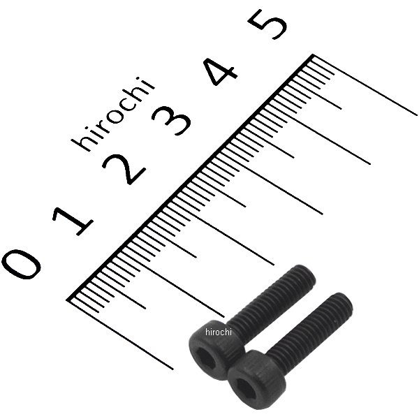 ステンレスキャップボルト STDタイプ M4x15 P0.7 2個入り 黒