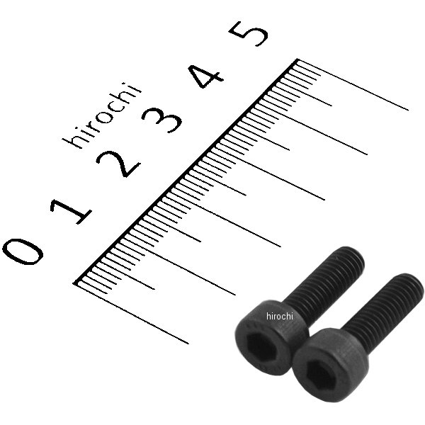 ステンレスキャップボルト STDタイプ M5x16 P0.8 2個入り 黒