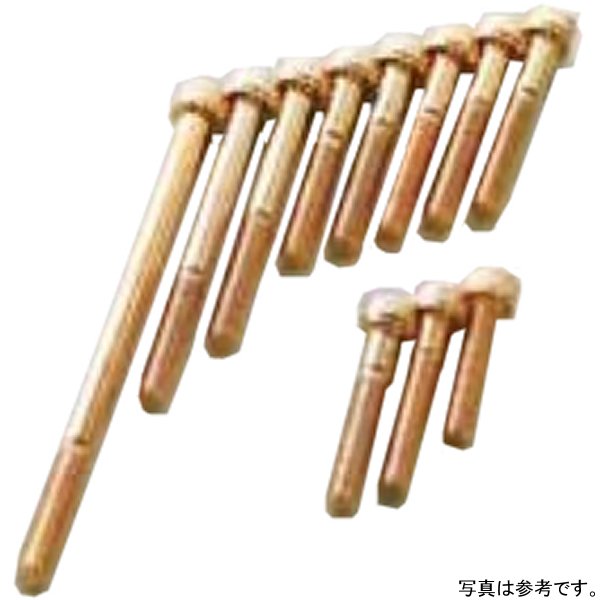 クランクケースカバーネジセット クロスカブ 24Kメッキステンレス