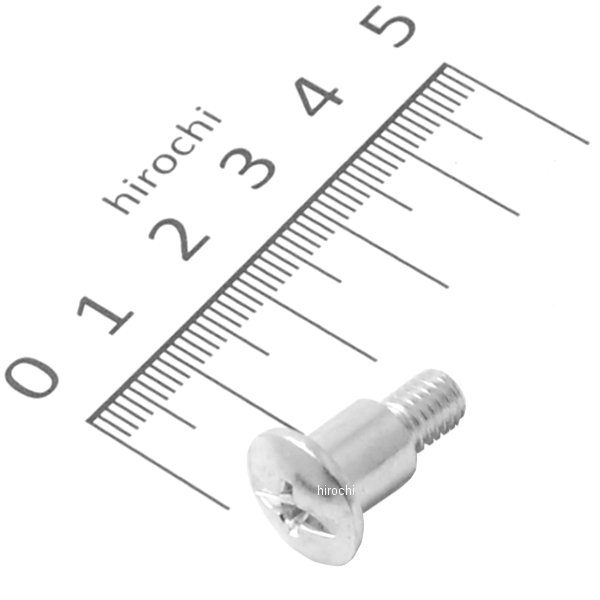 スクリュー.サイドカバー 90103-K88-L20